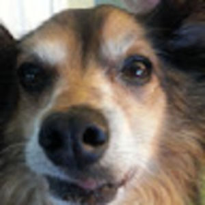 Meet your Posher, Leona